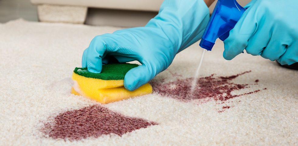 How to Clean Carpet Stains: 7 Cleaning Methods That Work