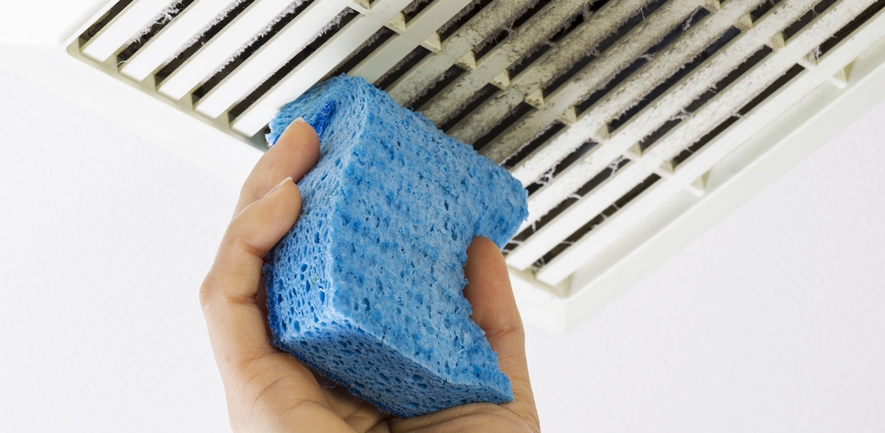 Clean the ceiling.