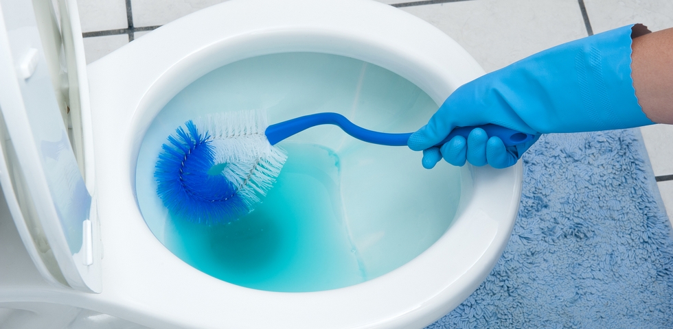 Disinfect the toilet.